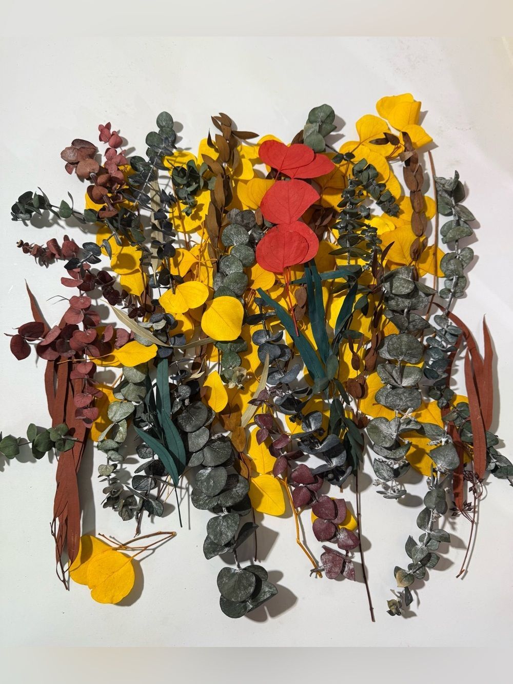 Mixed Dried Eucalyptus and Preserved Floral Stems - Yellow, Green, Red, Brown - Picture 5 of 5